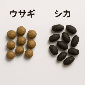 シカの糞