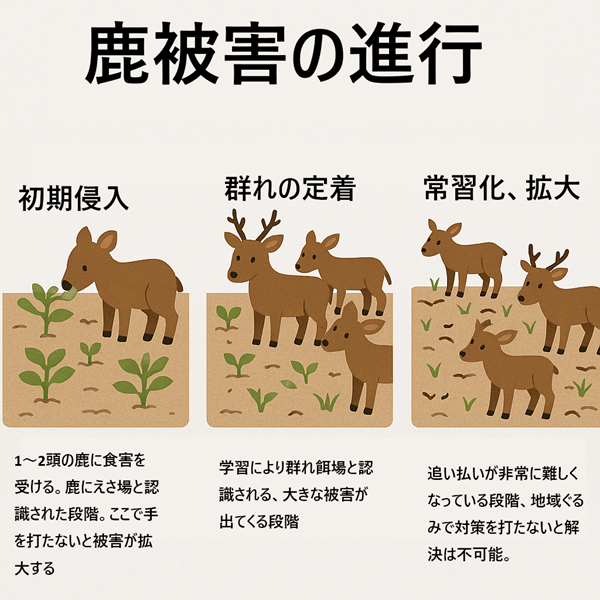 鹿の被害進行段階