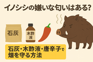 イノシシの嫌いな匂いアイキャッチ