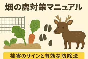 畑の鹿対策マニュアル｜被害のサインと有効な防除方法