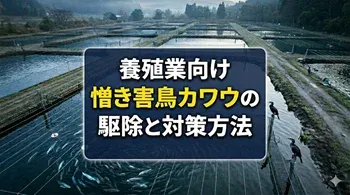 養殖業向けの憎き害鳥カワウの駆除と対策方法