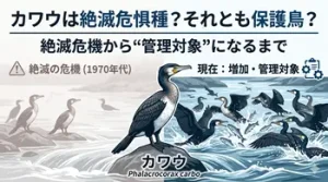 カワウは絶滅危惧種か？
