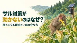 サル対策が効かないのはなぜか？